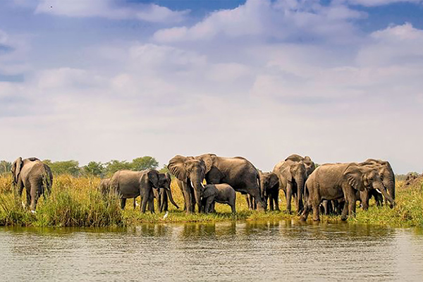 Discover Ngorongoro