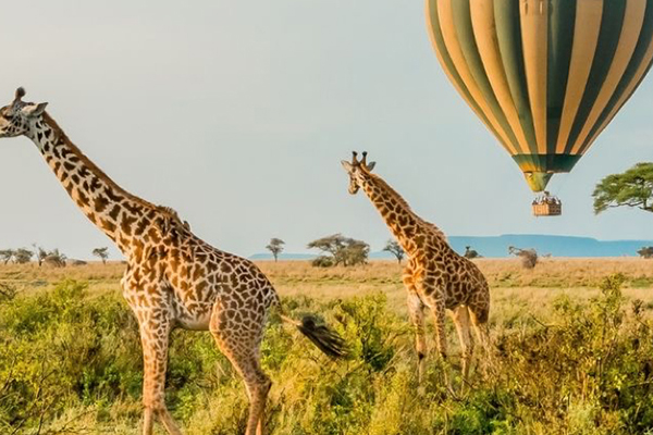 Discover Ngorongoro